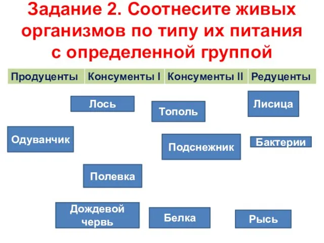 Задание 2. Соотнесите живых организмов по типу их питания с определенной группой