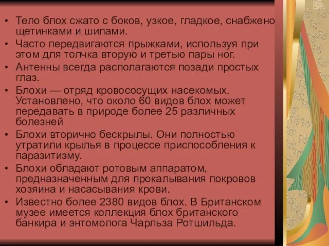 Тело блох сжато с боков, узкое, гладкое, снабжено щетинками и шипами. Часто