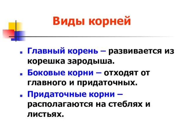 Виды корней Главный корень – развивается из корешка зародыша. Боковые корни –