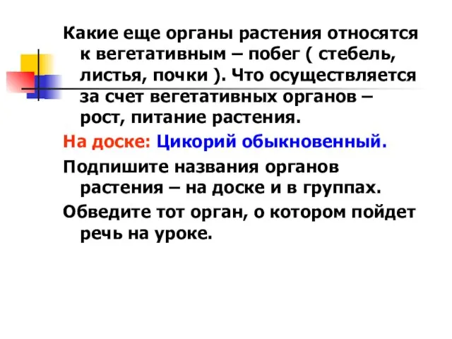 Какие еще органы растения относятся к вегетативным – побег ( стебель, листья,