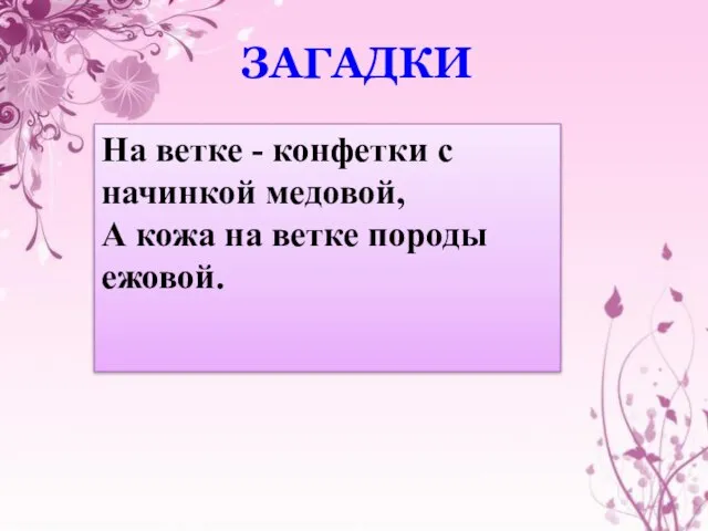 На ветке - конфетки с начинкой медовой, А кожа на ветке породы ежовой. ЗАГАДКИ