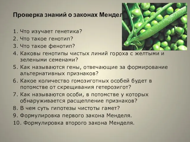 Проверка знаний о законах Менделя 1. Что изучает генетика? 2. Что такое