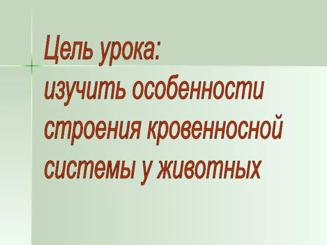 Цель урока: изучить особенности строения кровенносной системы у животных