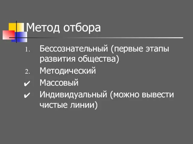 Метод отбора Бессознательный (первые этапы развития общества) Методический Массовый Индивидуальный (можно вывести чистые линии)