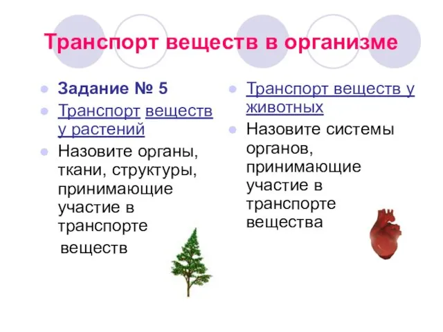 Транспорт веществ в организме Задание № 5 Транспорт веществ у растений Назовите