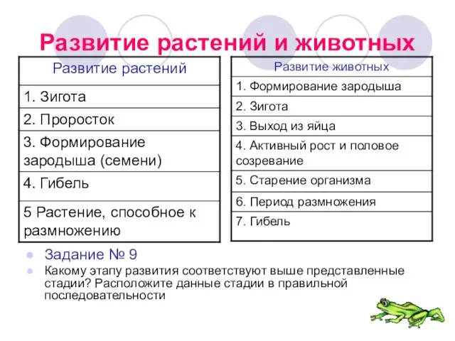 Развитие растений и животных Задание № 9 Какому этапу развития соответствуют выше