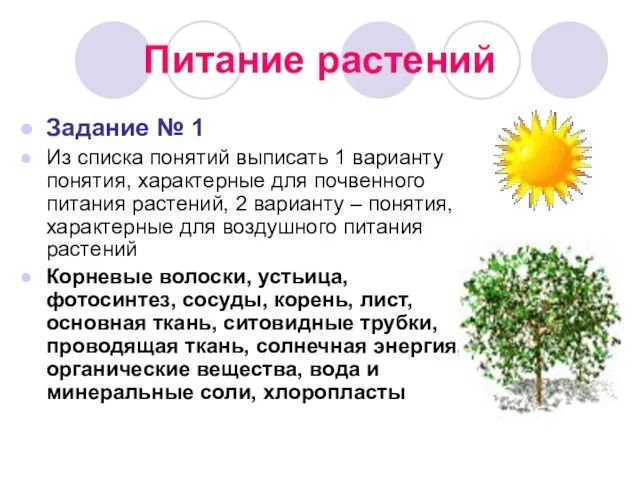 Питание растений Задание № 1 Из списка понятий выписать 1 варианту понятия,