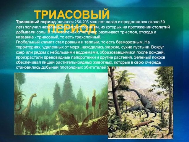 Триасовый период Триасовый период (начался 250-205 млн лет назад и продолжался около