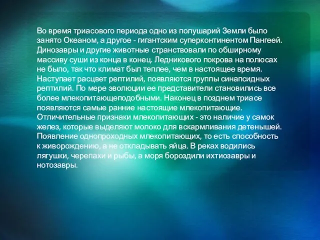 Во время триасового периода одно из полушарий Земли было занято Океаном, а