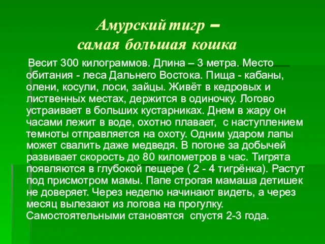 Амурский тигр – самая большая кошка Весит 300 килограммов. Длина – 3