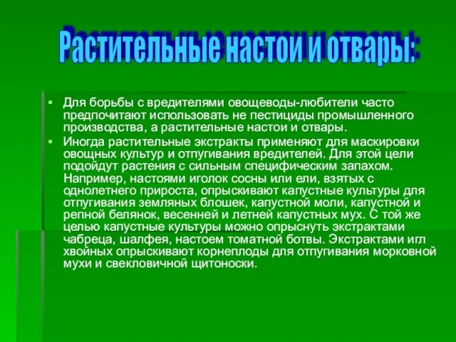 Для борьбы с вредителями овощеводы-любители часто предпочитают использовать не пестициды промышленного производства,