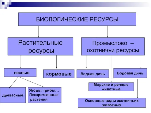 БИОЛОГИЧЕСКИЕ РЕСУРСЫ БИОЛОГИЧЕСКИЕ РЕСУРСЫ Растительные ресурсы Промыслово – охотничьи ресурсы кормовые Водная