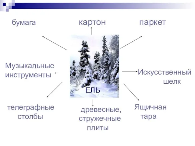 бумага картон паркет Музыкальные инструменты Искусственный шелк телеграфные столбы Ящичная тара древесные, стружечные плиты ель ЕЛЬ