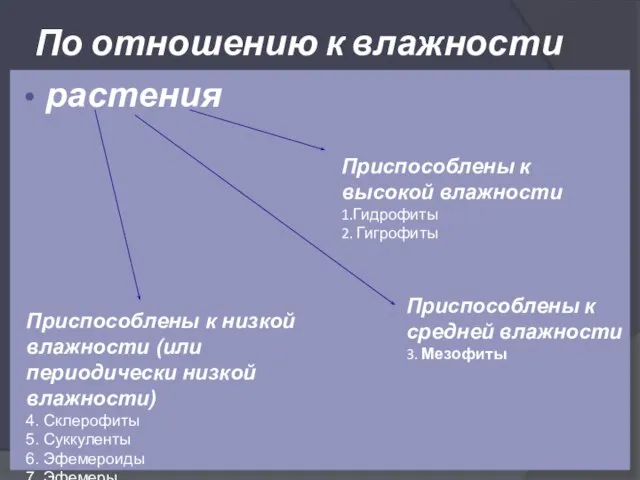 По отношению к влажности растения Приспособлены к высокой влажности 1.Гидрофиты 2. Гигрофиты