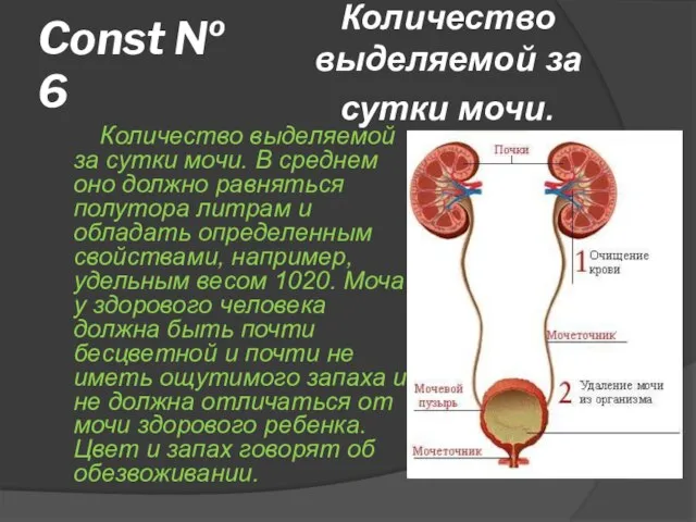 Const № 6 Количество выделяемой за сутки мочи. В среднем оно должно