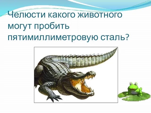 Челюсти какого животного могут пробить пятимиллиметровую сталь?