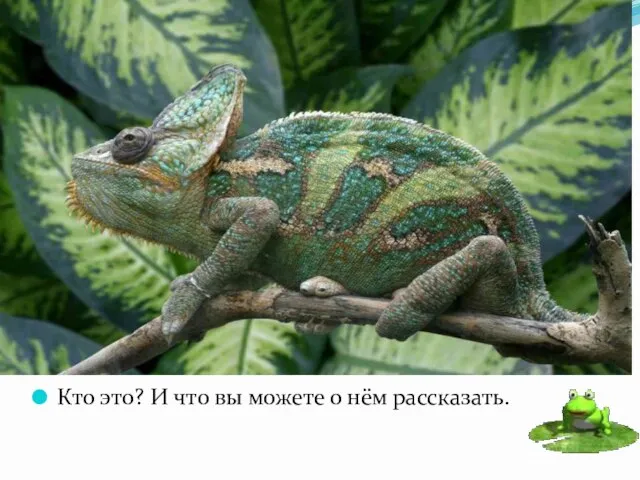 Кто это? И что вы можете о нём рассказать.