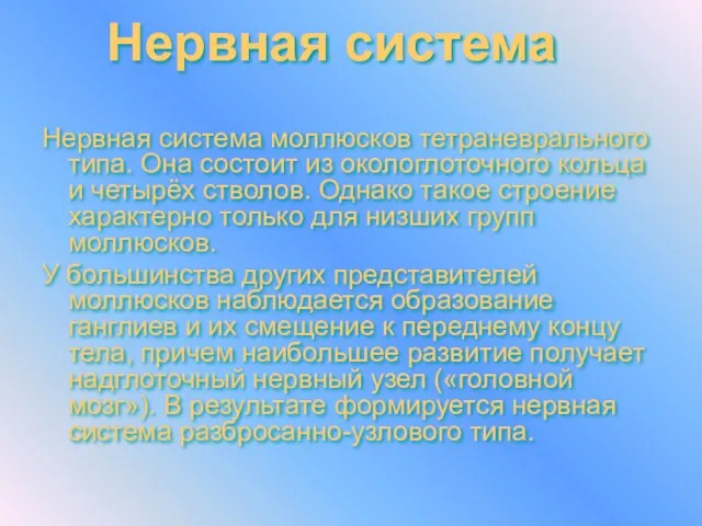 Нервная система моллюсков тетраневрального типа. Она состоит из окологлоточного кольца и четырёх