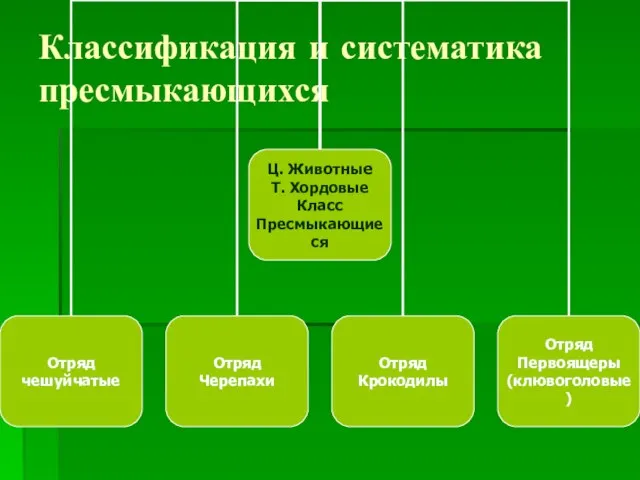 Классификация и систематика пресмыкающихся