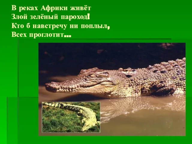 В реках Африки живёт Злой зелёный пароход! Кто б навстречу ни поплыл, Всех проглотит…