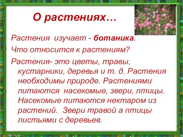 О растениях… Растения изучает - ботаника. Что относится к растениям? Растения- это