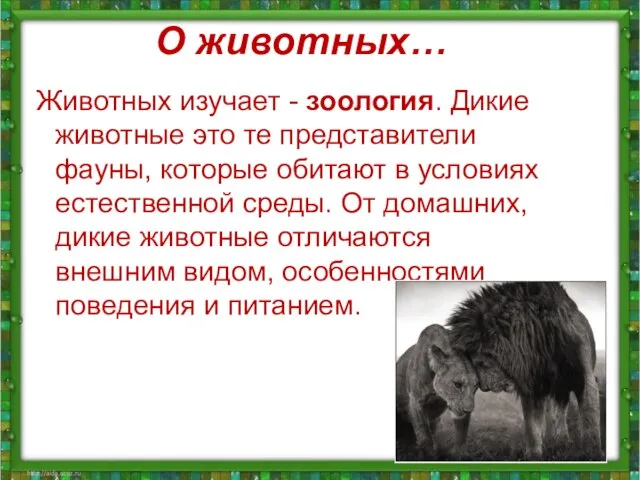 О животных… Животных изучает - зоология. Дикие животные это те представители фауны,