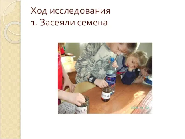 Ход исследования 1. Засеяли семена