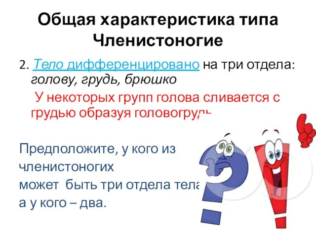 2. Тело дифференцировано на три отдела: голову, грудь, брюшко У некоторых групп