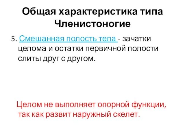 5. Смешанная полость тела - зачатки целома и остатки первичной полости слиты