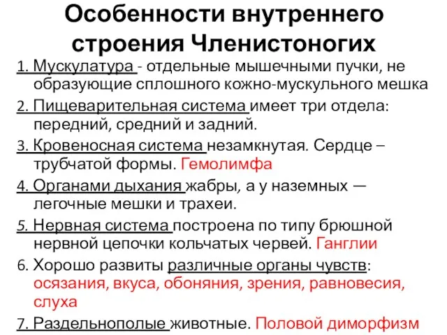 Особенности внутреннего строения Членистоногих 1. Мускулатура - отдельные мышечными пучки, не образующие