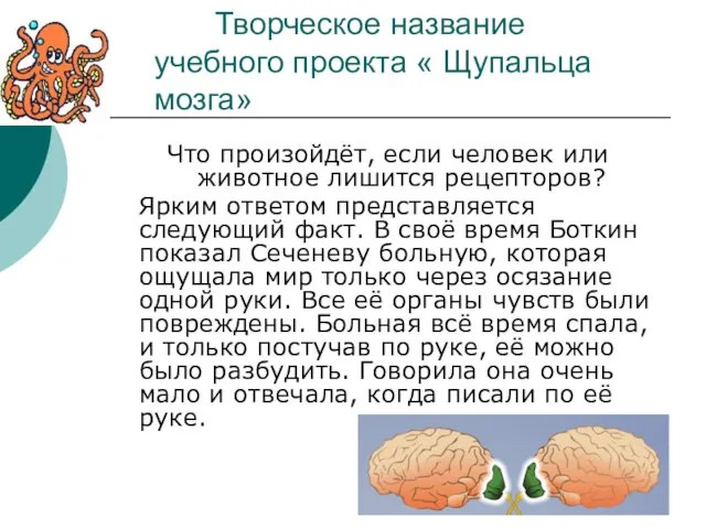 Творческое название учебного проекта « Щупальца мозга» Что произойдёт, если человек или