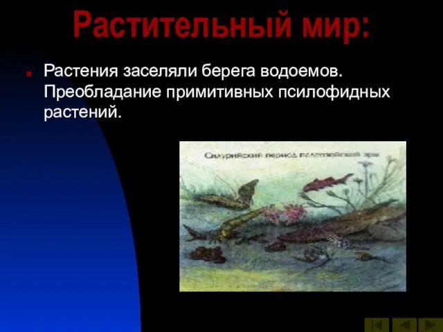 Растительный мир: Растения заселяли берега водоемов. Преобладание примитивных псилофидных растений.