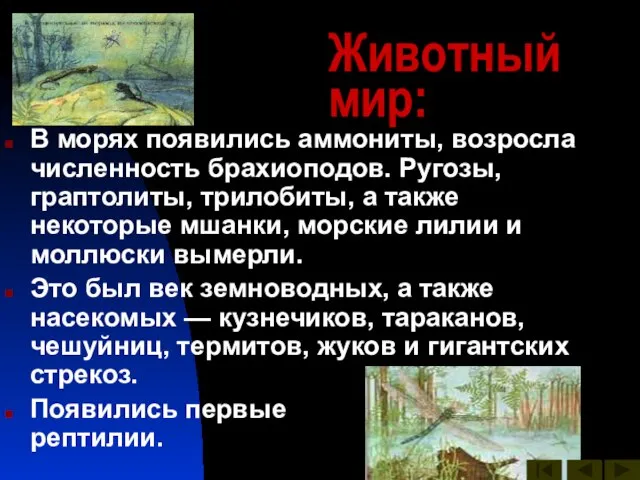 Животный мир: В морях появились аммониты, возросла численность брахиоподов. Ругозы, граптолиты, трилобиты,