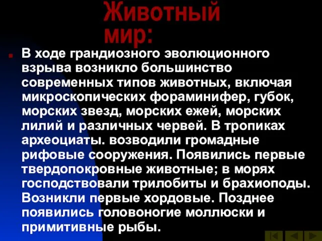 Животный мир: В ходе грандиозного эволюционного взрыва возникло большинство современных типов животных,