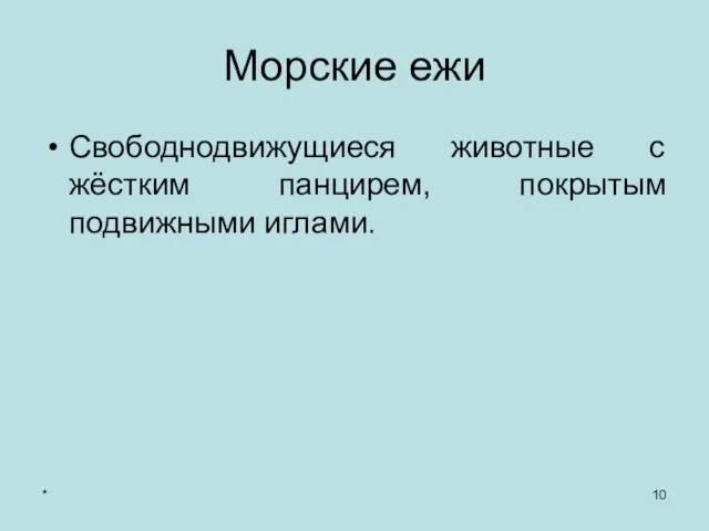 * Морские ежи Свободнодвижущиеся животные с жёстким панцирем, покрытым подвижными иглами.