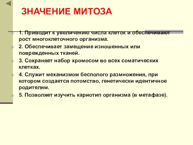 ЗНАЧЕНИЕ МИТОЗА 1. Приводит к увеличению числа клеток и обеспечивают рост многоклеточного