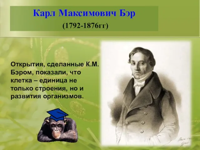 Карл Максимович Бэр (1792-1876гг) Открытия, сделанные К.М.Бэром, показали, что клетка – единица