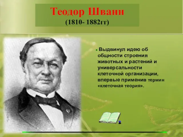 Теодор Шванн (1810- 1882гг) Выдвинул идею об общности строения животных и растений