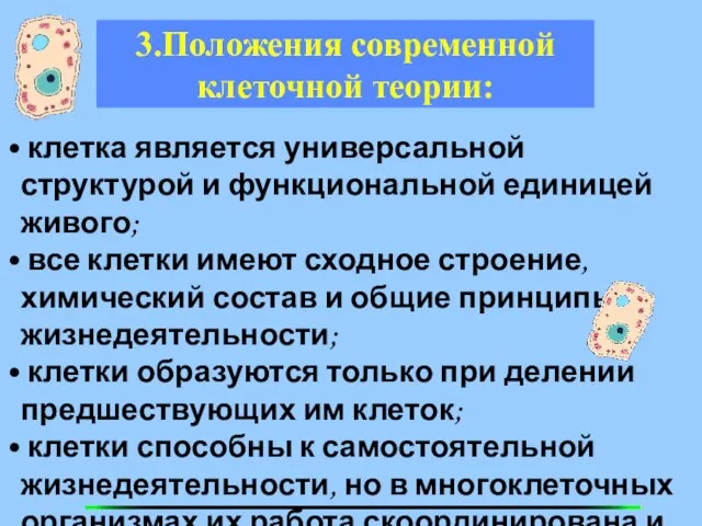 3.Положения современной клеточной теории: клетка является универсальной структурой и функциональной единицей живого;