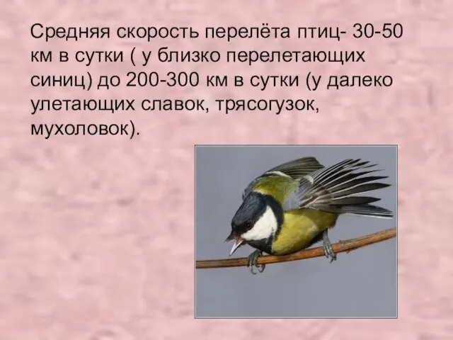 Средняя скорость перелёта птиц- 30-50 км в сутки ( у близко перелетающих