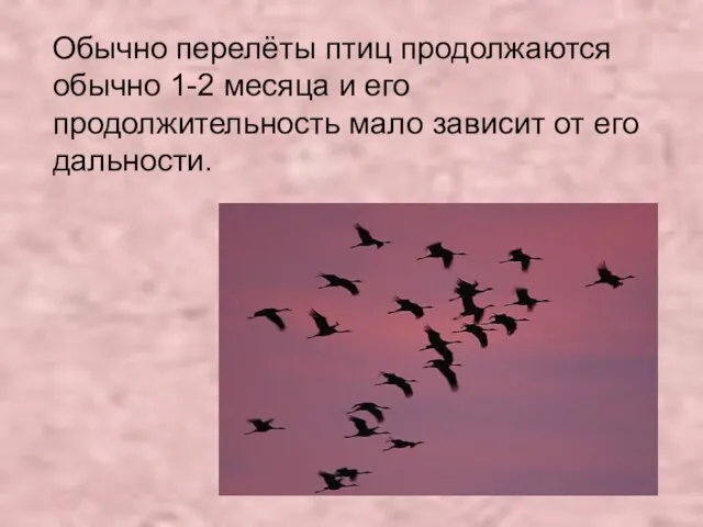 Обычно перелёты птиц продолжаются обычно 1-2 месяца и его продолжительность мало зависит от его дальности.