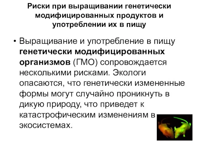 Риски при выращивании генетически модифицированных продуктов и употреблении их в пищу Выращивание