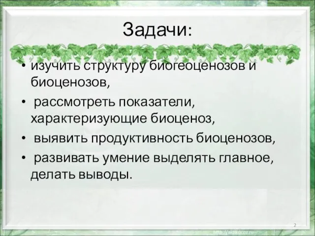 Задачи: изучить структуру биогеоценозов и биоценозов, рассмотреть показатели, характеризующие биоценоз, выявить продуктивность