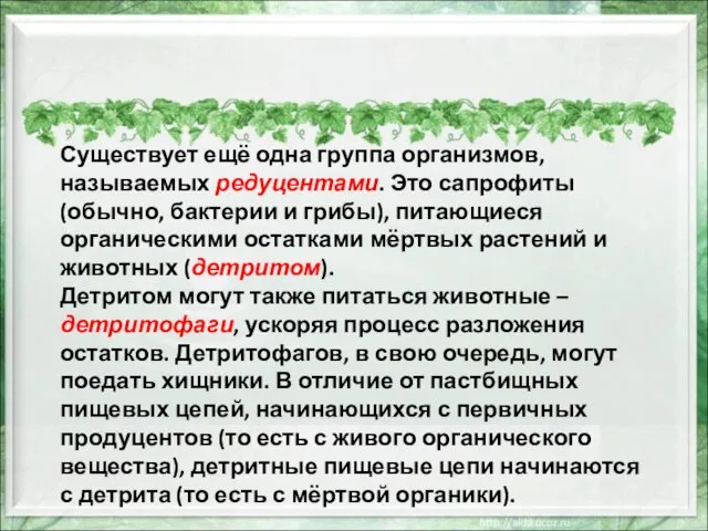 Существует ещё одна группа организмов, называемых редуцентами. Это сапрофиты (обычно, бактерии и