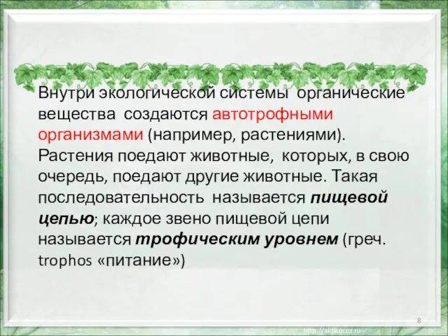 Внутри экологической системы органические вещества создаются автотрофными организмами (например, растениями). Растения поедают