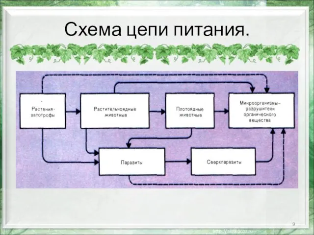 Схема цепи питания.