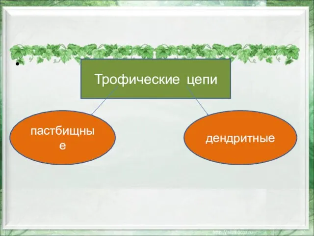 Трофические цепи пастбищные дендритные