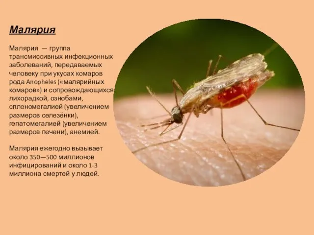 Малярия Малярия — группа трансмиссивных инфекционных заболеваний, передаваемых человеку при укусах комаров