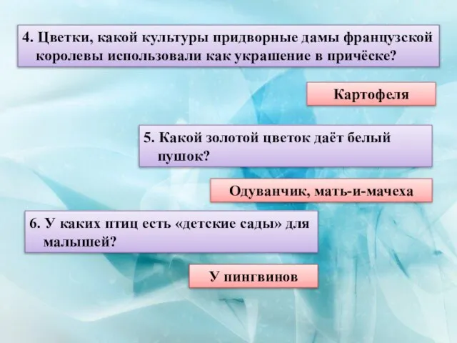 4. Цветки, какой культуры придворные дамы французской королевы использовали как украшение в