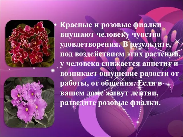 Красные и розовые фиалки внушают человеку чувство удовлетворения. В результате, под воздействием